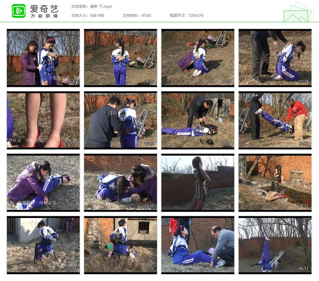 虎年 下[20250421-211546699].jpg