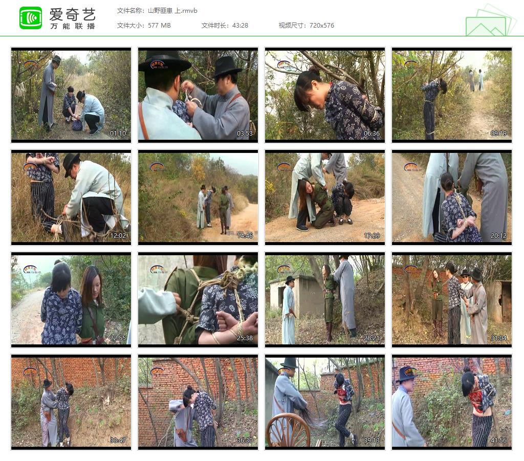 山野匪患 上[20250429-215608304].jpg